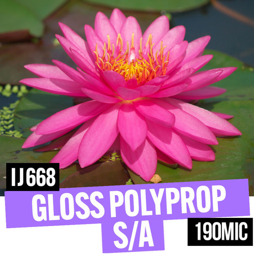 Gloss Polypropylene S/A 190mic Free Sample (A4)