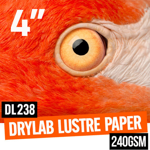 DryLab Lustre true multi-layer photo paper 240gsm 4" x 65 meter roll