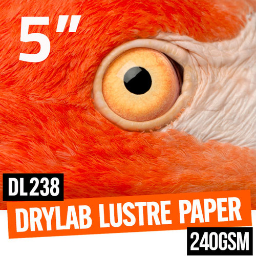 DryLab Lustre true multi-layer photo paper 240gsm 5" x 65 meter roll