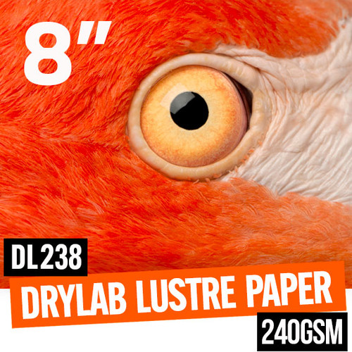 DryLab Lustre true multi-layer photo paper 240gsm 8" x 65 meter roll