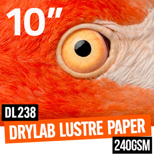 DryLab Lustre true multi-layer photo paper 240gsm 10" x 100 meter roll