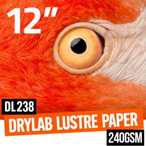DryLab Lustre true multi-layer photo paper 240gsm 12" x 100 meter roll