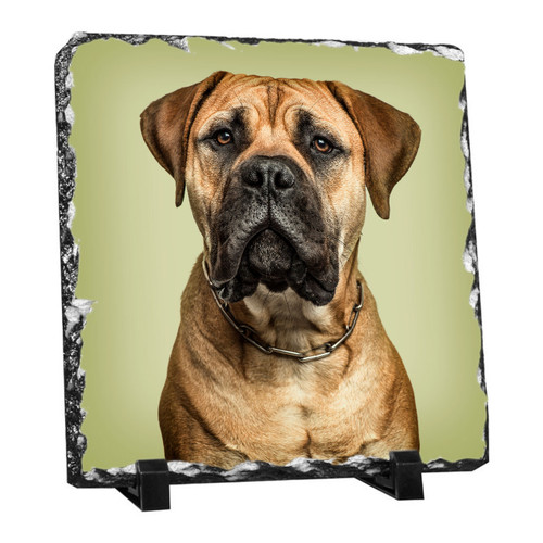 Sublimation Gloss Photo Slate - Middle Square 19cm x 19cm