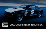 2007-2009 Shelby Terlingua