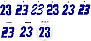 Decals & Stickers - Vehicle Number Decals - Carroll Shelby Racing
