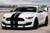 Carroll Shelby Racing Snake Windshield Banner