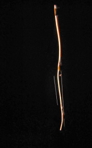 POLAR NIGHTSTAR FIBER OPTIC LIGHT W/2 SETTINGS POLAR NIGHTSTAR FIBER OPTIC LIGHT W/2 SETTINGS