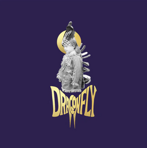 FLIPTRIX - DRAGONFLY FLIPTRIX - DRAGONFLY