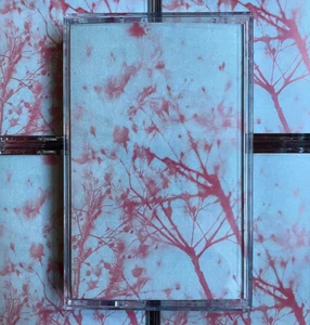 F*CK HAS DAY - HIGHSIGN EDITION (CASSETTE)