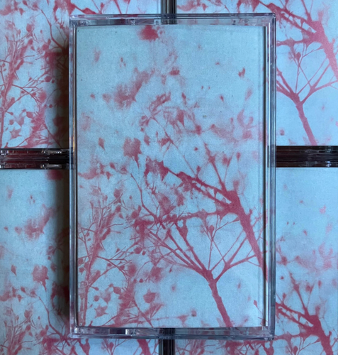 F*CK HAS DAY - HIGHSIGN EDITION (CASSETTE)