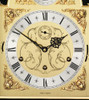 C4620TCH-B  - Comitti of London - The Queen Anne in Chinoiserie - Black (Tiger Artwork) clock face