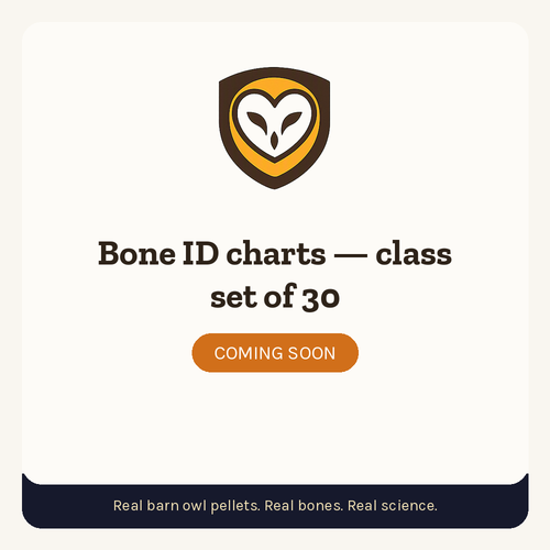 PelletPal placeholder: Bone ID charts — class set of 30 (coming soon)