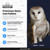 Premium barn owl pellets: sourced domestically from within the United States, carefully graded, heat-treated and built for learning, with a barn owl photo