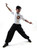 9 sectional Steel Whip Light #484L