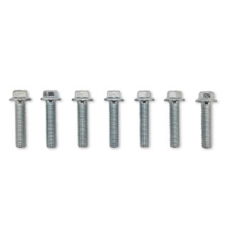 Crankcase Side Plate Bolt Set GHG8990423