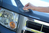 Ford Fusion (13-16) Invisible Bug Guard