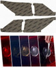 Lexus IS Convertible (10-13) Tail Light Covers