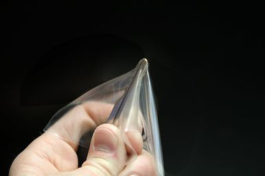 Rear Bumper Guard - Clear 4