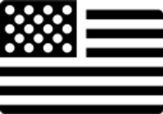 USA Flag Icon