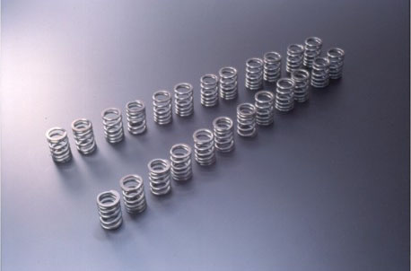 Tomei Valve Springs RB26DETT