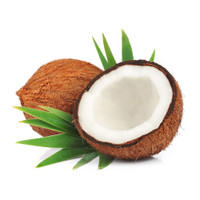 Fresho Coconut - Medium