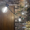 7.5 Metre, 10  Clear Filament GLS Lamp Festoon String, 750mm Spacing with 10 bulbs, B22, Cool White