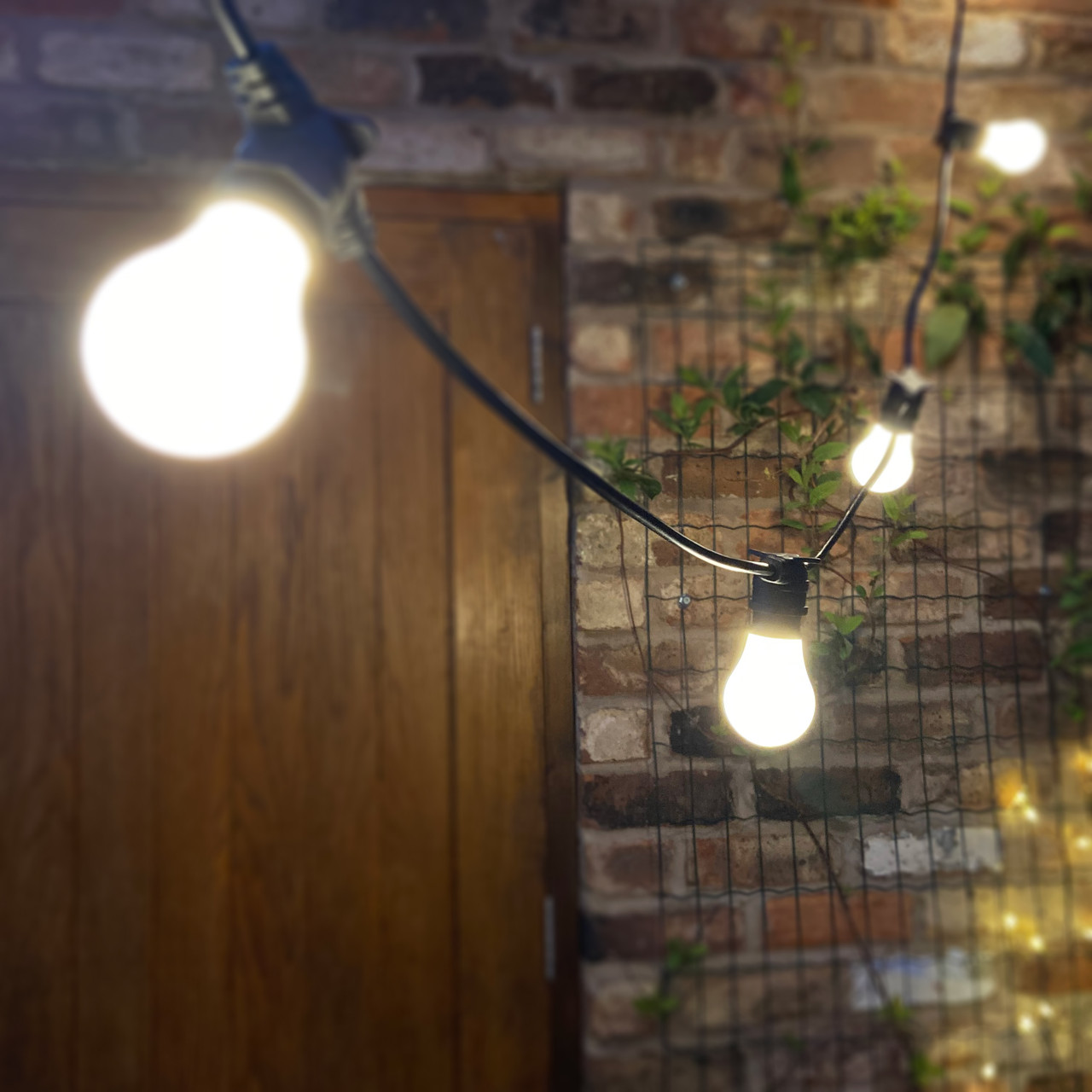10m festoon lights clearance