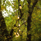 Why Is Festoon Lighting the Hottest Summer Garden Trend of 2022?
