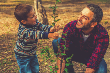 Don’t Fear, Fall is for Planting!