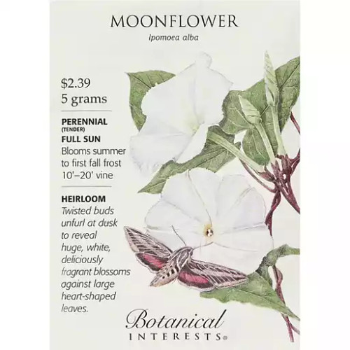 SEED MOONFLOWER