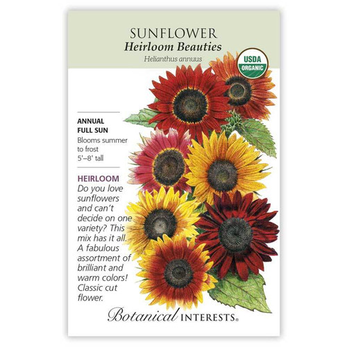 SEED SUNFLOWER HEIRLOOM BEAUTIES ORGANIC