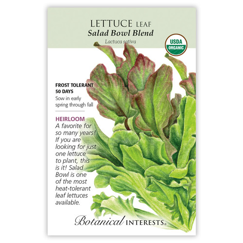 SEED LETTUCE LEAF SALAD BOWL BLEND