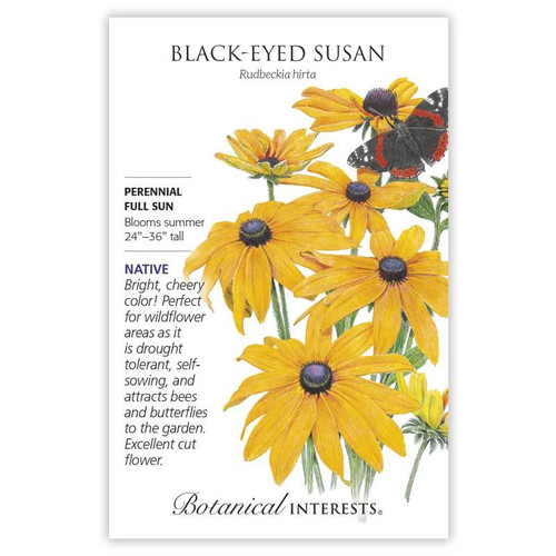 SEED BLACK-EYED SUSAN