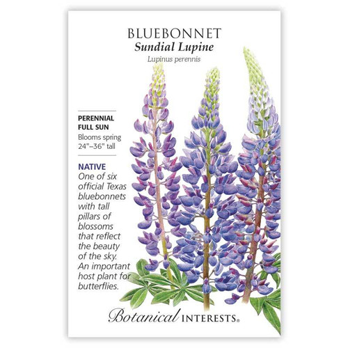 SEED BLUEBONNET SUNDIAL LUPINE