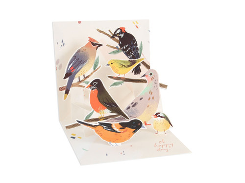 BACKYARD BIRDS POP UP CARD