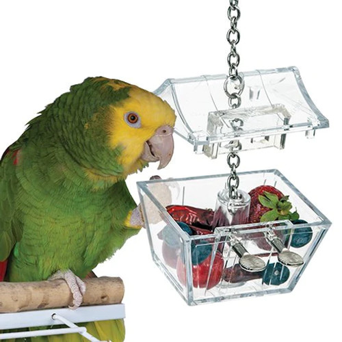 PARROT'S TREASURE