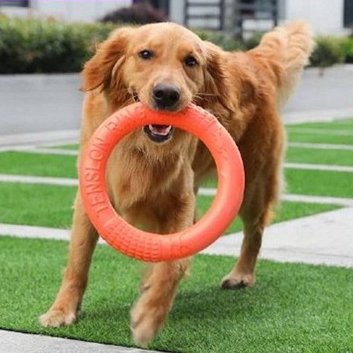 DOG RING TOY ORANGE