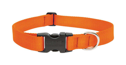 LUPINE PET BASIC SOLIDS BLAZE ORANGE BLAZE ORANGE NYLON DOG ADJUSTABLE COLLAR..