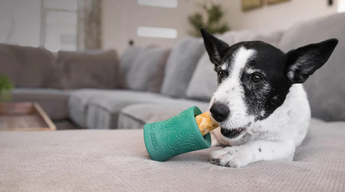 FUNNEL TREAT TOY LG 4"