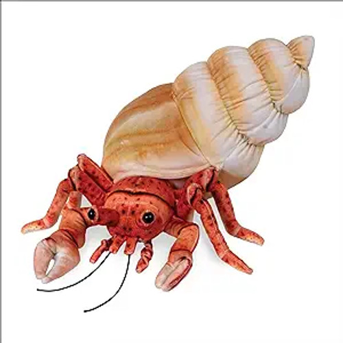 HERMIT CRAB - 14"