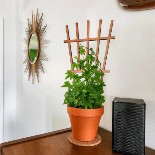 WOOD INDOOR PLANT TRELLIS