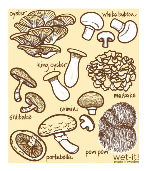 MUSHROOM MEDLEY SWEDISH CLOTH