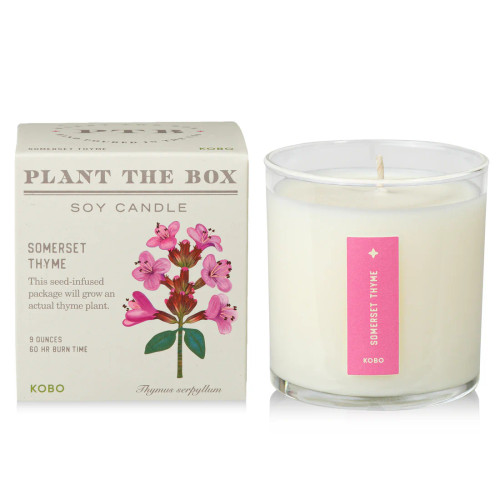 9OZ CANDLE PLANT SOMERSET THYME