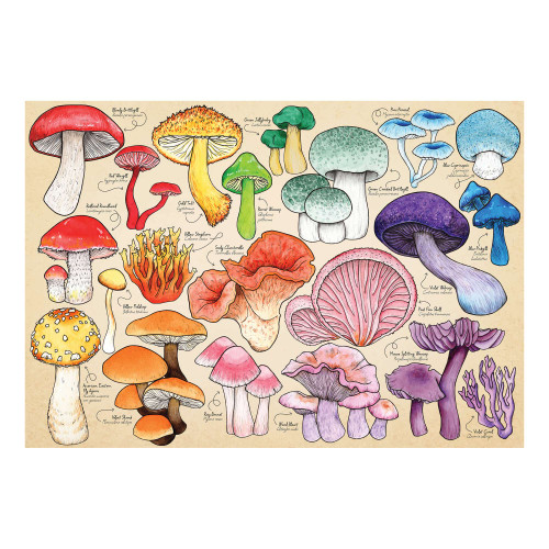 MUSHROOM MANIA 1000 PC PUZZLE