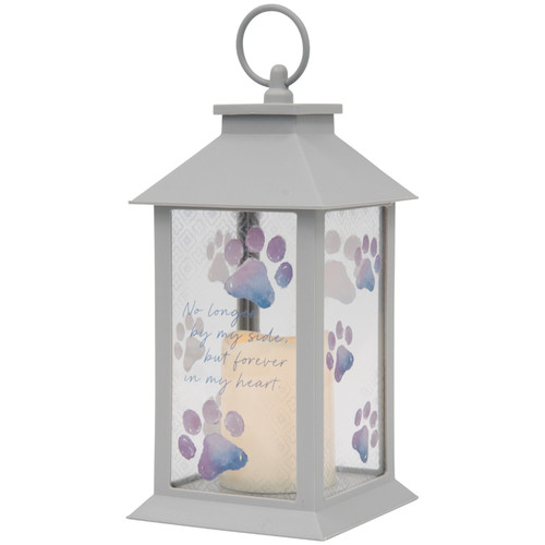 BY MY SIDE LANTERN PET