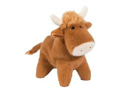HANK HIGHLAND COW MUZZLE