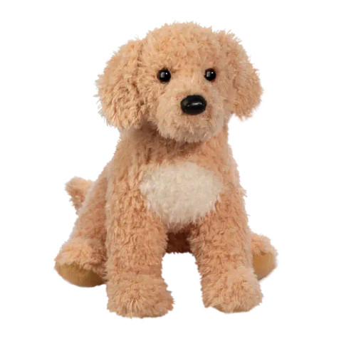 NOODLE GOLDENDOODLE