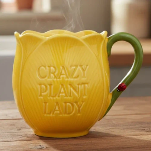 CRAZY PLANT LADY - MUG