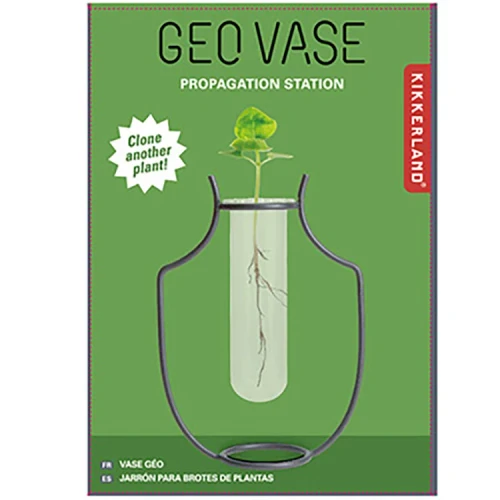 GEO VASE PROPAGATION STATION