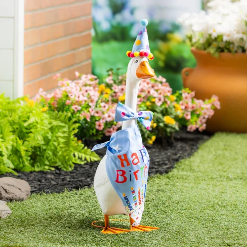 GIDDY GOOSE OUTFIT BIRTHDAY BOY